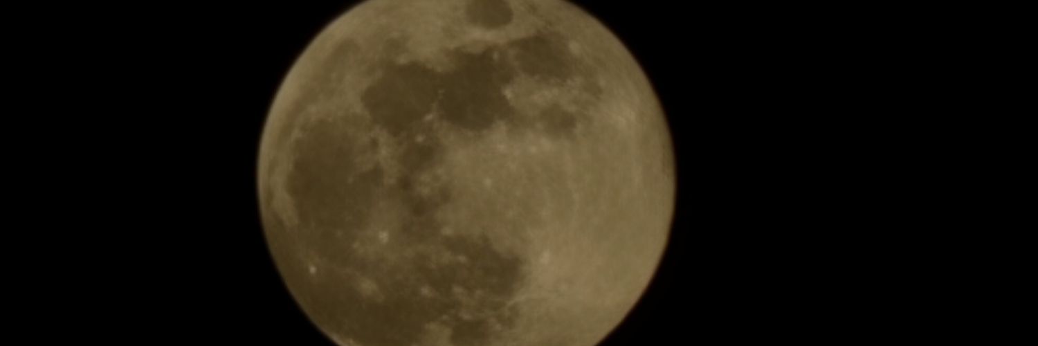 Rose's Photography banner