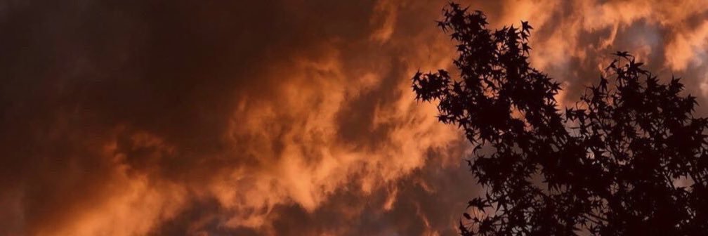 ii8600's profile banner image