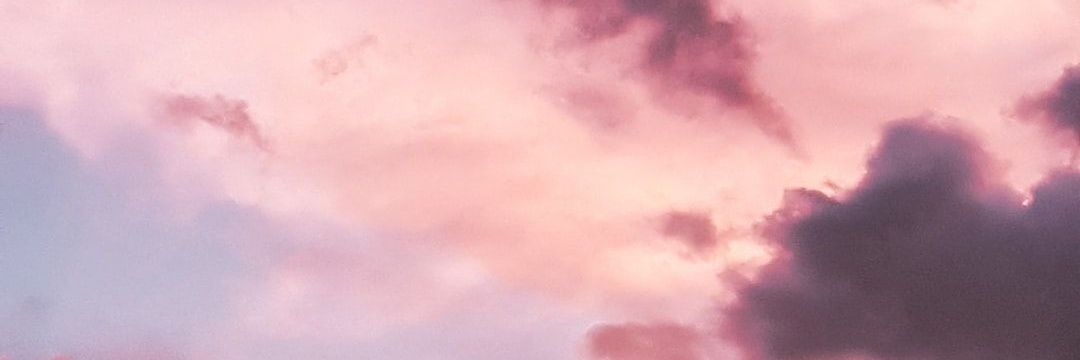 BirbSage's profile banner image