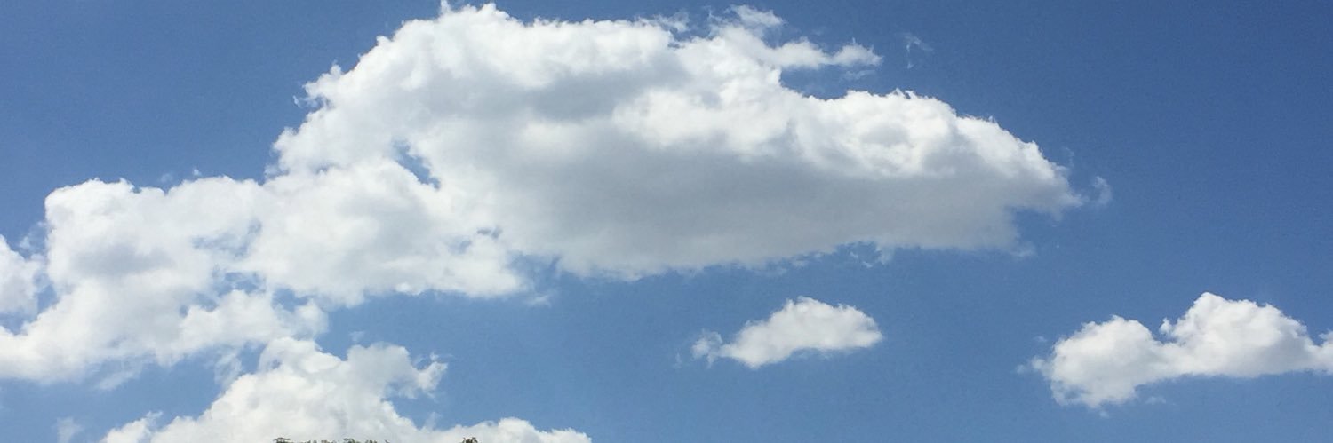 Sisiforocca's profile banner image