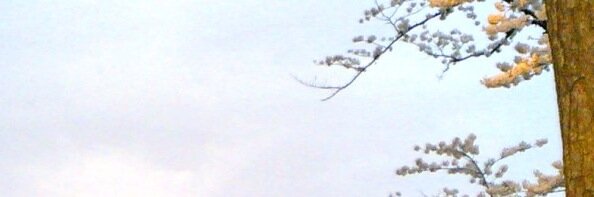 LonelyBob's profile banner image