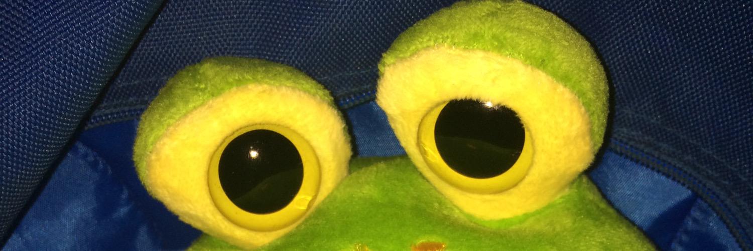 bedoyagd's profile banner image