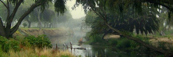 Liesbeek Profile Banner