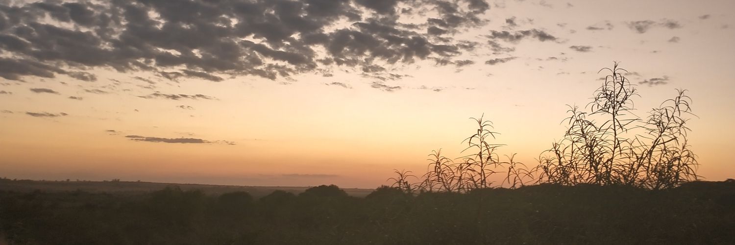 clarisasack's profile banner image