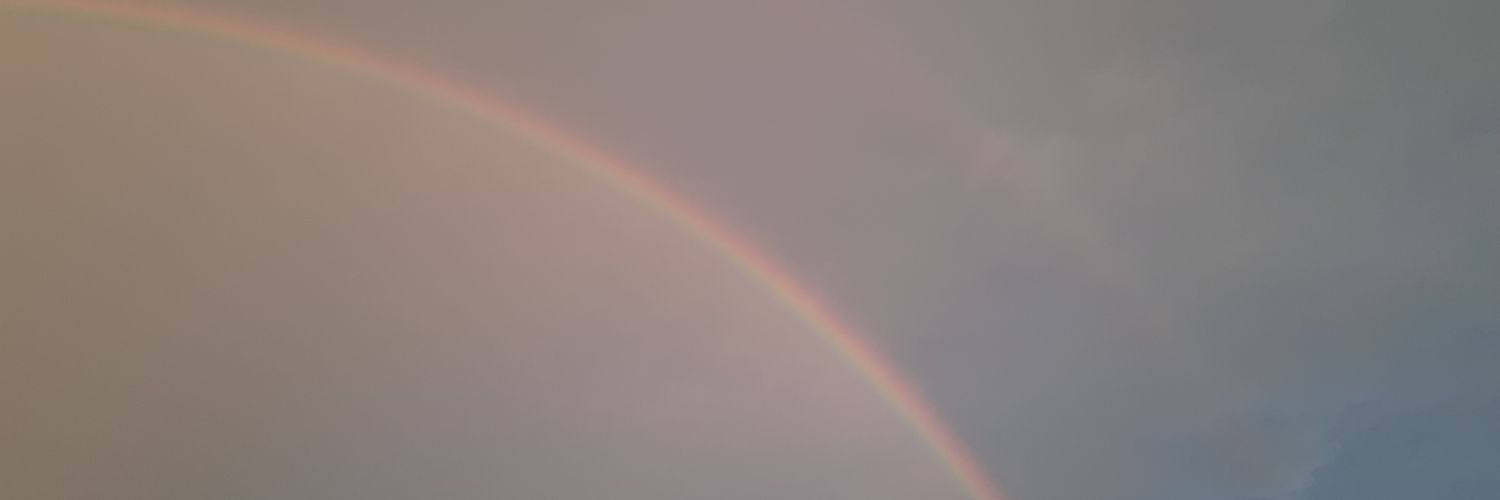 Ziibuu91's profile banner image