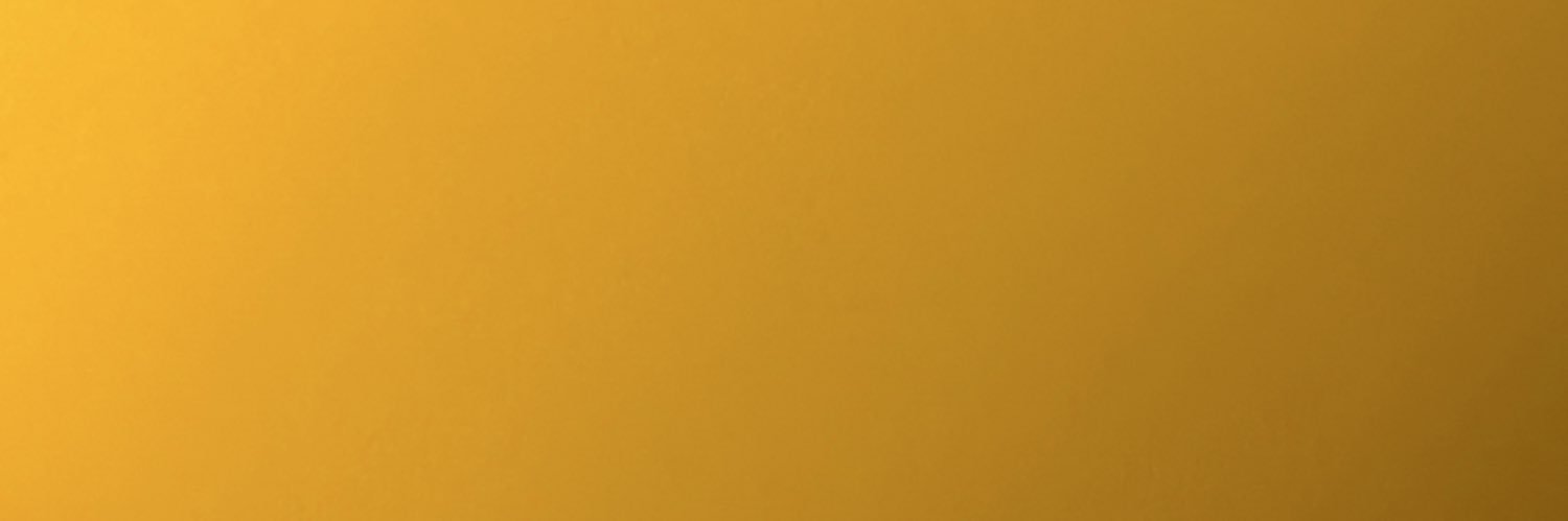 lyssorenson's profile banner image