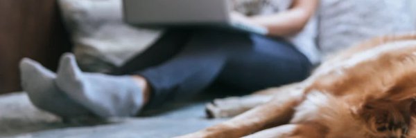 mariacrook Profile Banner