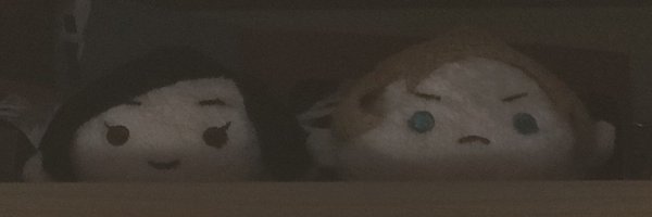 03jellyfish05 Profile Banner