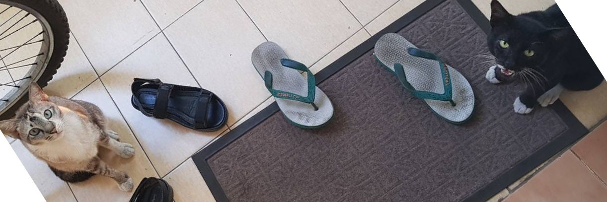 べラク セケボン banner