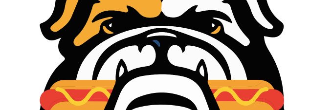 Maddogs Baseball banner