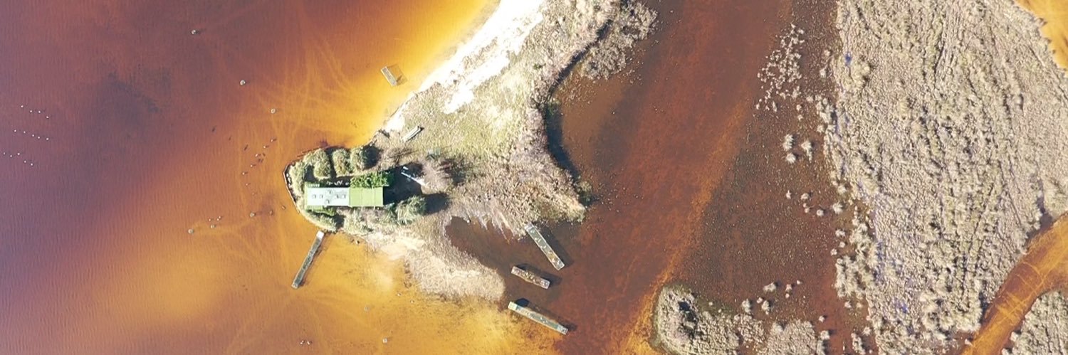 Julien Lestage banner