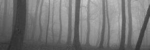 slenderpapi3's profile banner image
