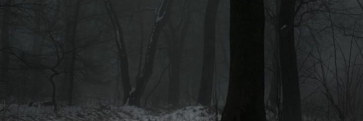 flowofbl00d's profile banner image