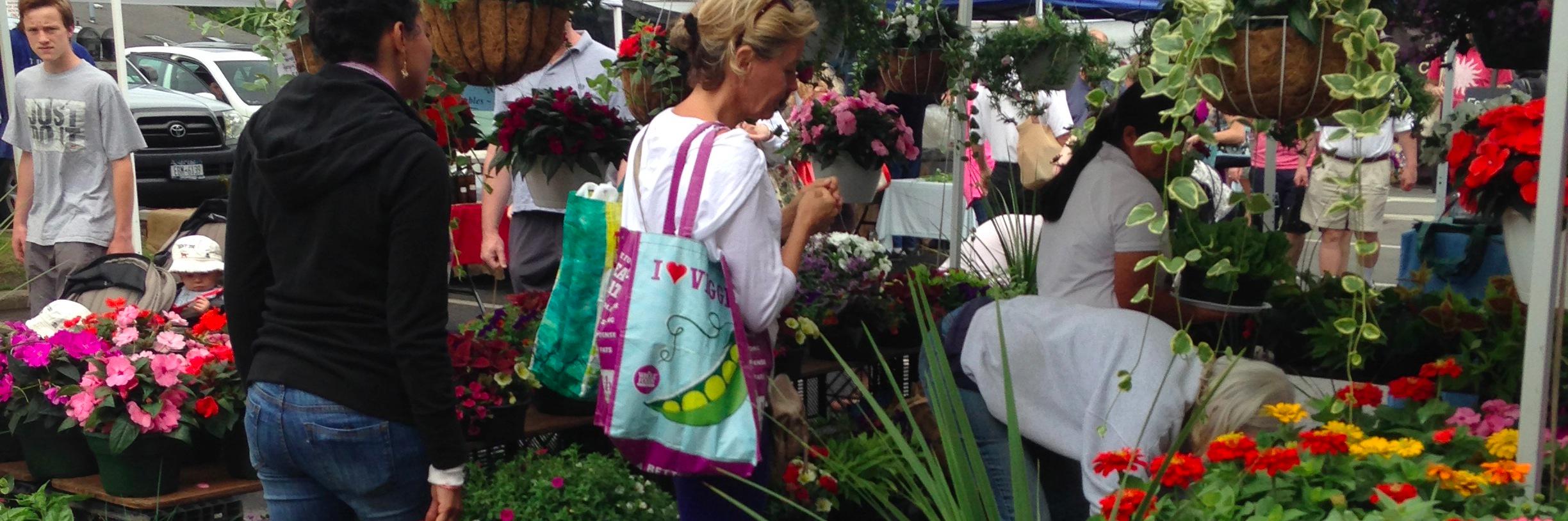 Cooper Nutrition banner