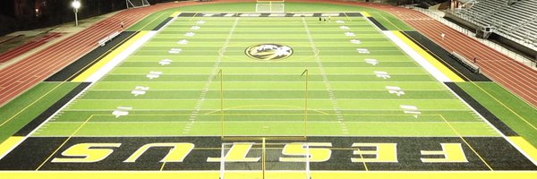 FestusFootball Profile Banner