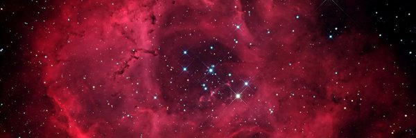 Nebula_Starling Profile Banner
