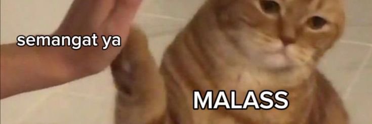 pepperonimee's profile banner image