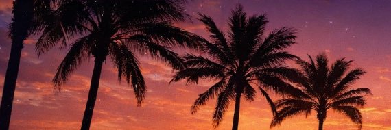 Yara banner
