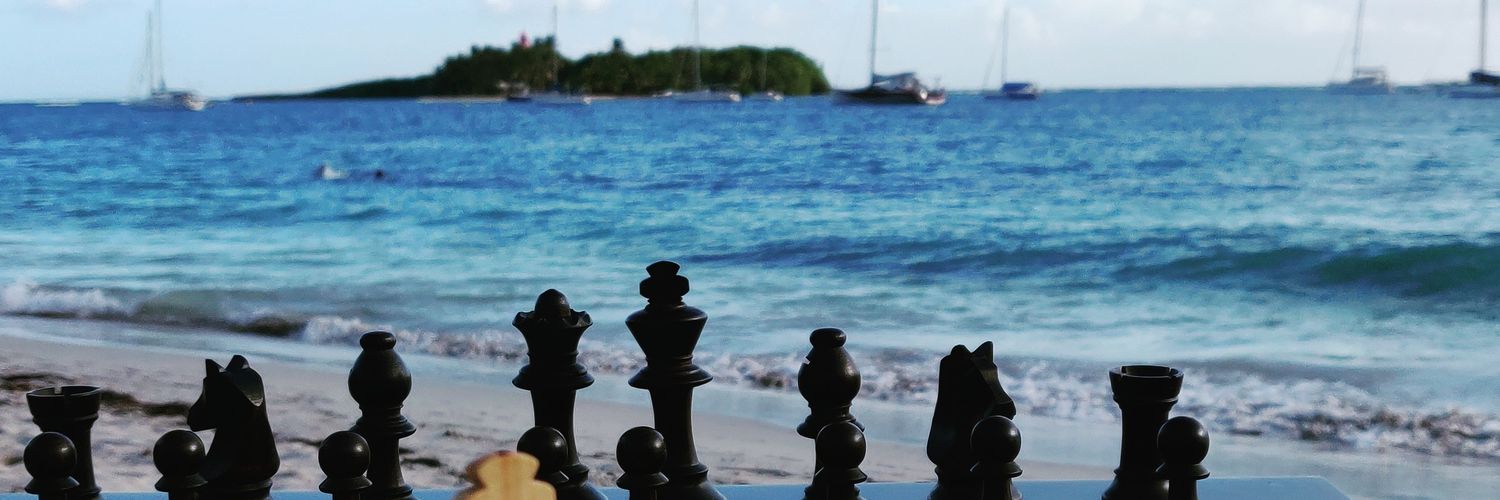 Fabien Libiszewski banner