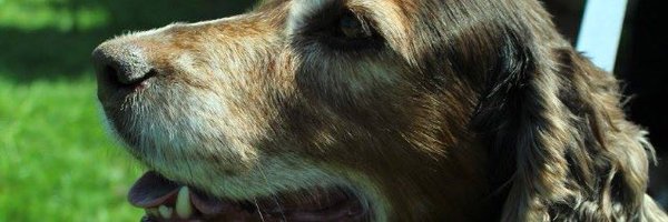 ItsBethsWorld Profile Banner