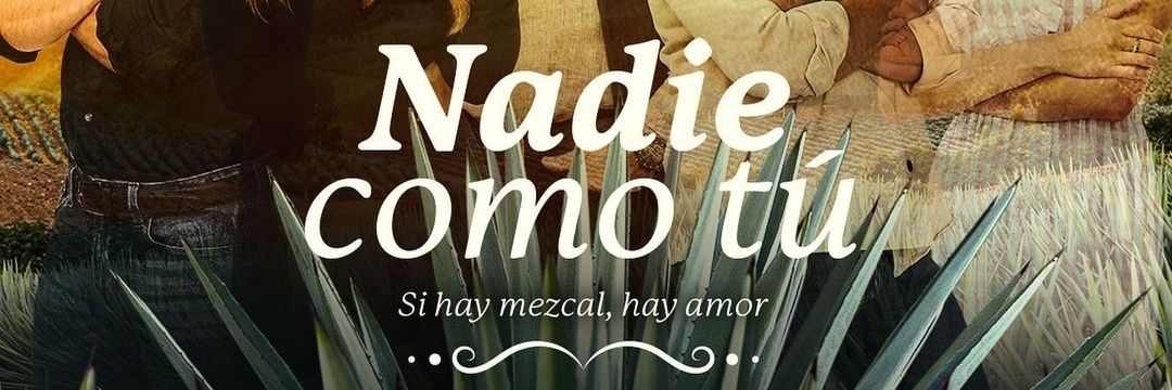 SolRubiSE's profile banner image