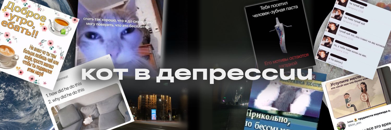 кот в депрессии. banner