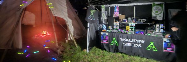 walipini Profile Banner