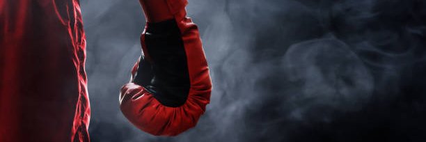Hernan Montes banner