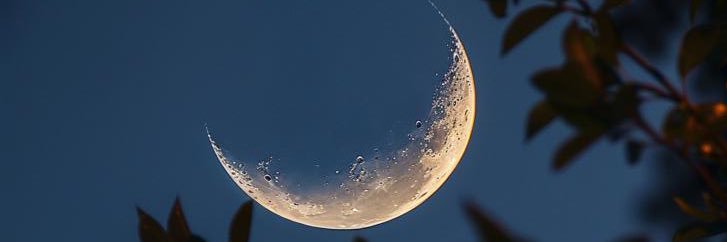 ✨فراپه کارامل ✨ banner