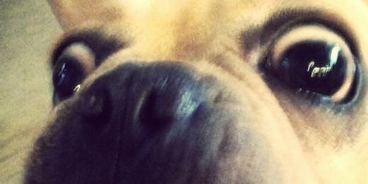 TheAnnaTheRed's profile banner image