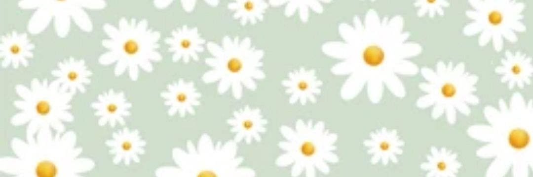 _DaisyHaze_'s profile banner image