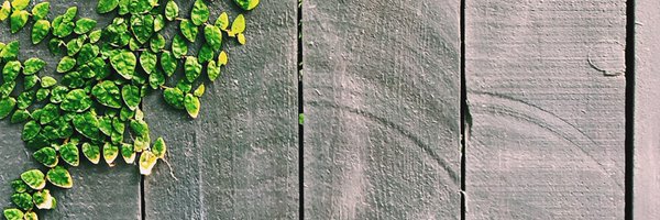 CFUWHamilton Profile Banner