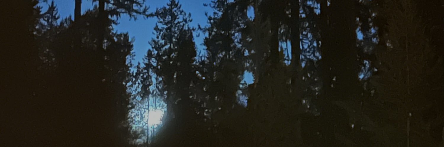 losts0uls_'s profile banner image