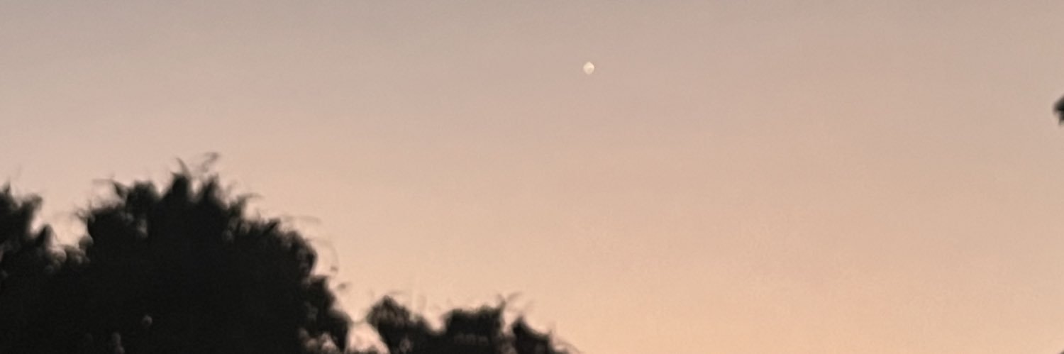 chantel banner