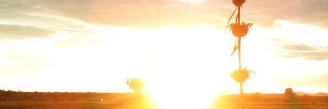 Scar_c's profile banner image