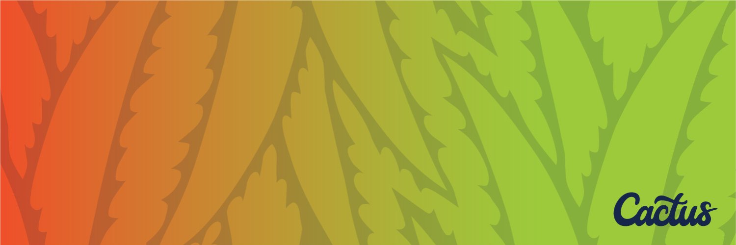 CactusDenver's profile banner image