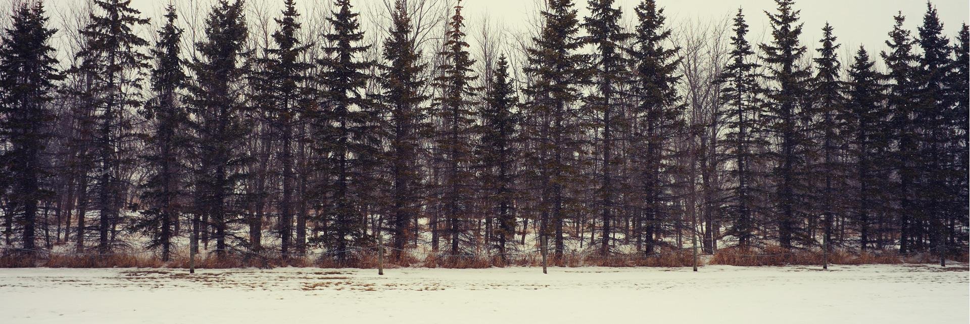 Josedavidvvs's profile banner image