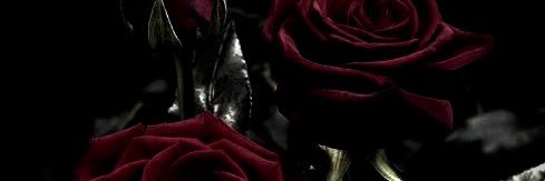 𝓂𝑒𝓁 𝄞's banner