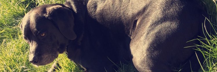 Katrinad1315's profile banner image