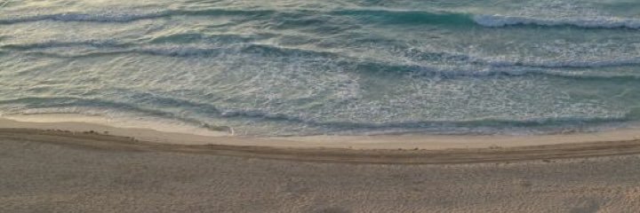 SofyAlonso's profile banner image