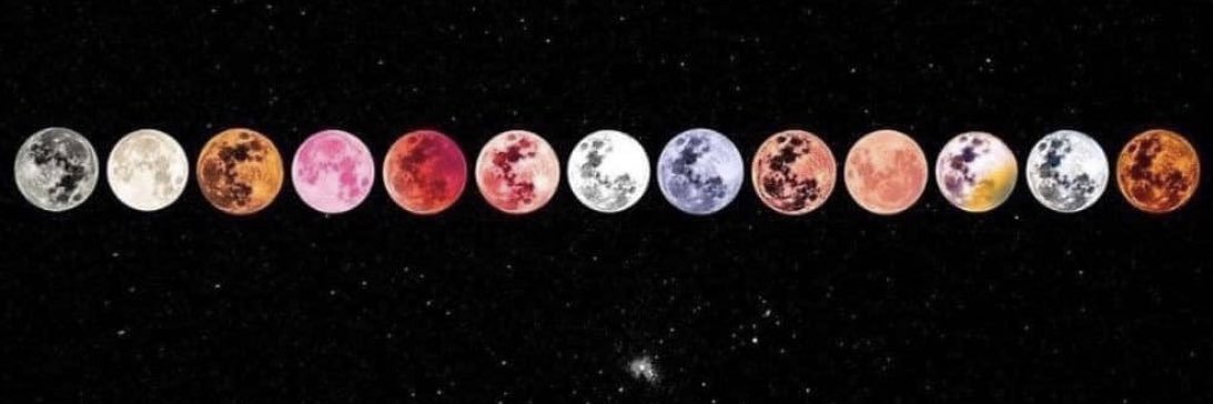 Jordan Camposano banner