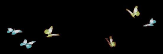 Caroliinee___'s profile banner image