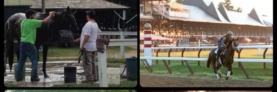 The Real Players Inside The Backstretch™️'s banner