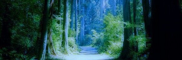 Ecogranjero Profile Banner