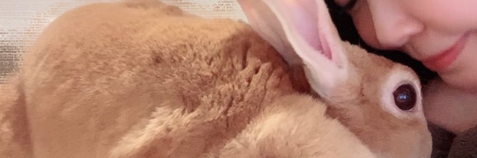 みも banner
