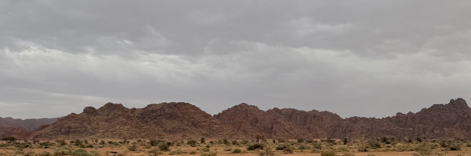 Mhsn_81's profile banner image