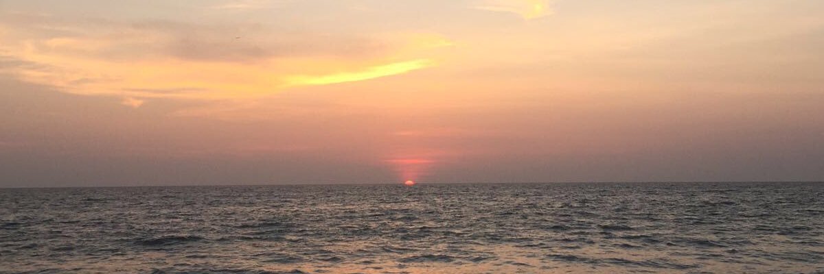 jssinghh's profile banner image