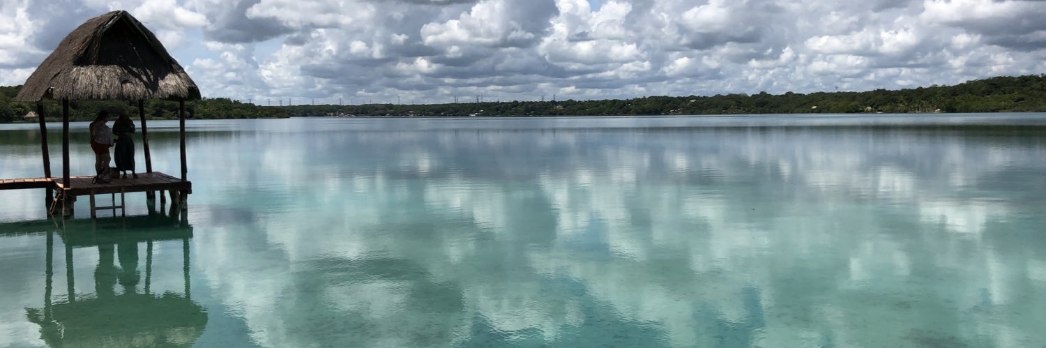 Julicanale's profile banner image