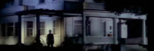 BoysSeals Profile Banner