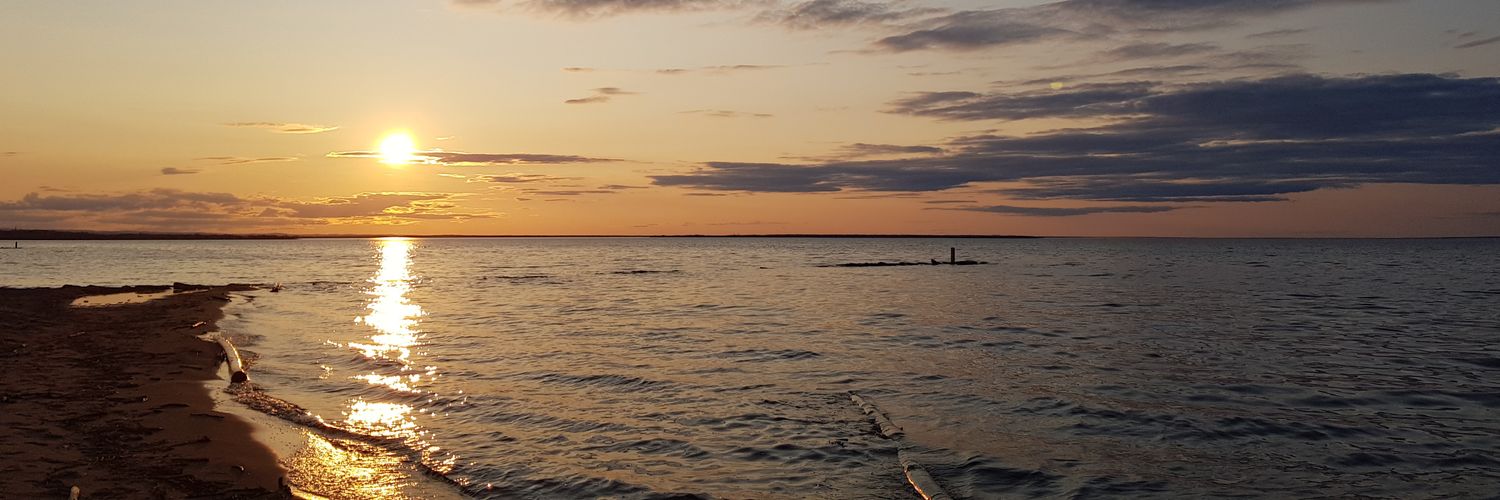 SeaBassy's profile banner image